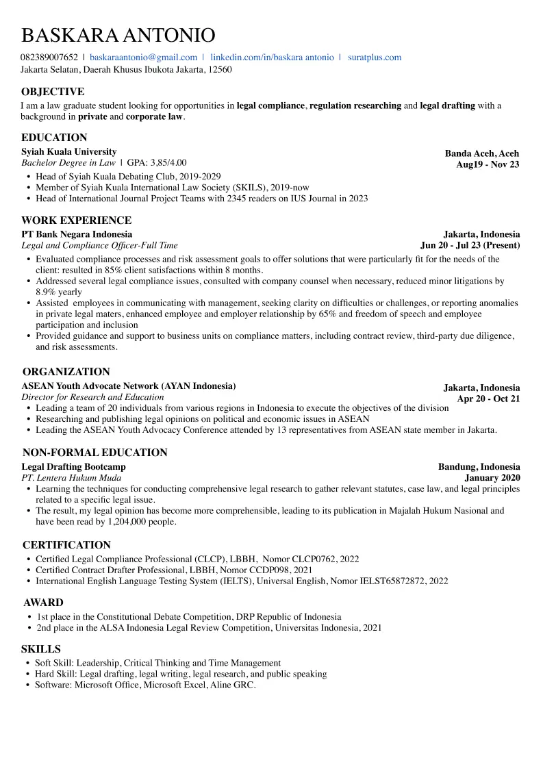 Template CV ATS 02