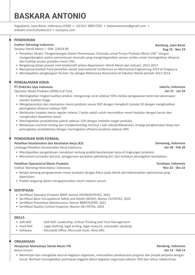 Template CV ATS 06